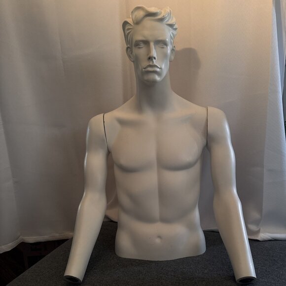 Male Mannequin Male Torso w Removable Arms Commercial Grade - Picture 1 of 8